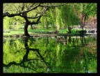 Parco Sempione - Milano