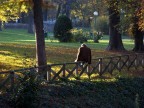 Riflessioni d'autunno