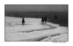 galoppatta sul mare