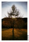 End of day