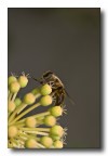primo contatto con la natura