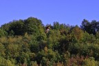 C' una casa nel bosco.......