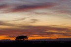 tramonto