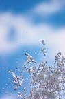 jumping water