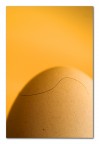 Il pelo nell'uovo