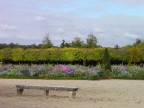 Stupendo scorcio del parco di Versailles .... meraviglioso!