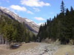 nel parco dello Stelvio