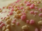 Ciao a tutti,  il mio primo post e colgo l'occasione per fare i complimenti a tutti i bellissimi lavori che postate.
Questa immagine  deriva da una modestissima Ricoh Caplio G4 Wide da 3.2 MPixel, che per regala soddisfazioni sulla macro vista la possibilit della messa a fuoco da 1,5 cm.
Ciao ancora a tutti!
Enrico