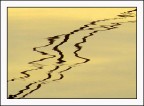 Strisce riflesse