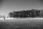park 3