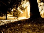 autunno a roma 70