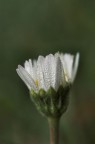 risveglio autunnale
