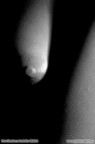 Body Closeup