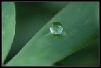 H20
