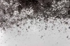 fall rain fall