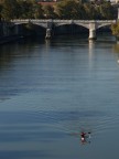 Tevere Tevere