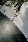 sole,luce,gioia...
