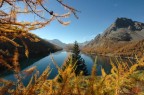 Un giorno d'autunno...