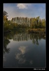 Sile Riflessi