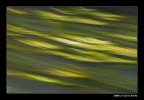 Giochi di luce e colori (Sile)