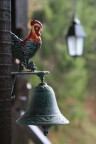 Campana