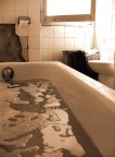 interno