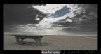 Foto scattata a Viareggio

[url]http://www.delmutolo.com[/url]
