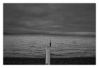 IL LAGO