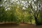 Autunno