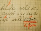 Contest  (il mio primo)
