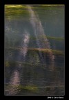 Sile Riflessi