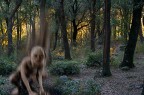 Strani incontri nel bosco selene