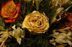 Fiori secchi
