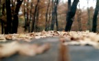 L'autunno
