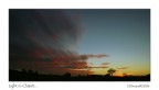 Light in Chianti