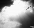 Who's to say where the wind will take you
Who's to say what it is will break you
I don't know which way the wind will blow
Who's to know when the time has come around
Don't wanna see you cry
I know that this is not goodbye...
