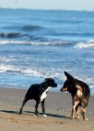 incontro al mare