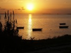 barche ormeggiate sullo stagnone in Sicilia