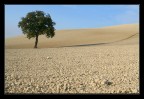 Tra cielo e terra