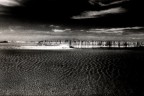 Camargue.
Leica M7 con Summicron 28mm, IR Kodak e filtro rosso.