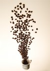 coffee time