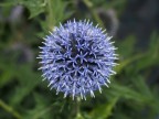 Condizioni di scatto: F5.5 / t 1/80 / ISO 100