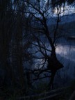 Ombre sul Lago
