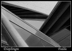 Diaphragm