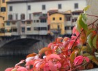 firenze