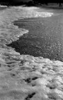 mare