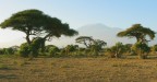 La Savana.