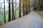 Autunno dipinto