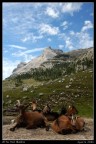 SULLE DOLOMITI