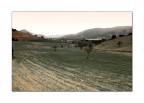 Just a Landscape No.1